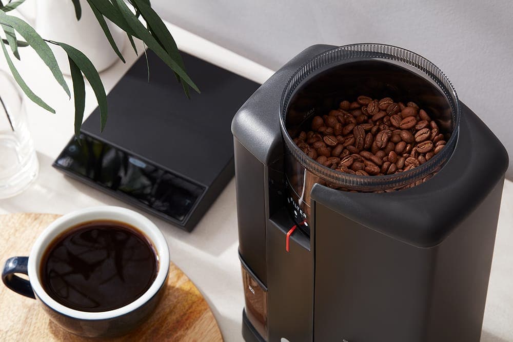 Wilfa Svart Aroma Precision Coffee Grinder (Black)、mySite、gigharbornorthrealestate