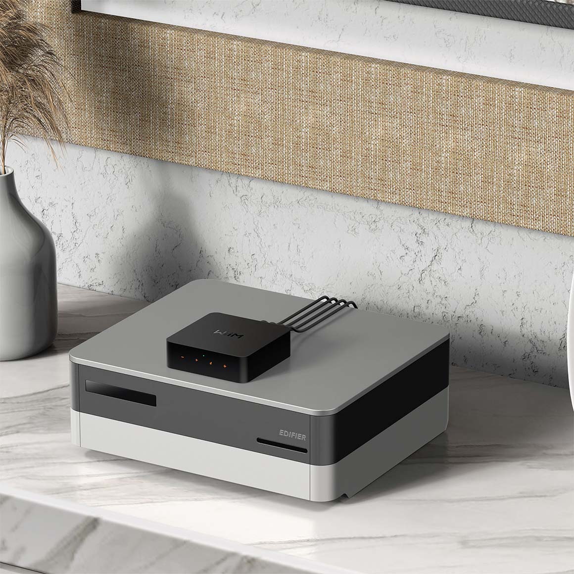  WiiM - Pro / Pro Plus、mySite、merchandisen