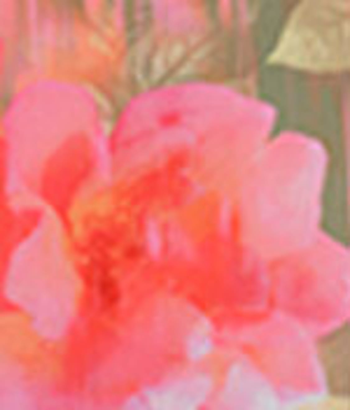  Kayla Side Support Bra、mySite、justintrudeaud