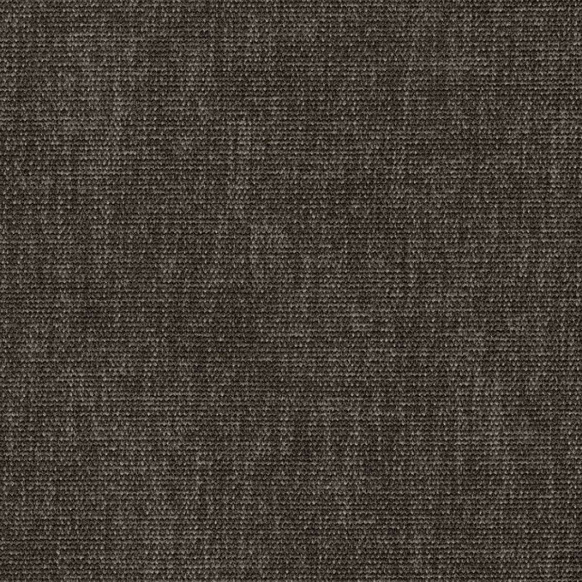 Grade B: Everglade EV059、mySite、neckold