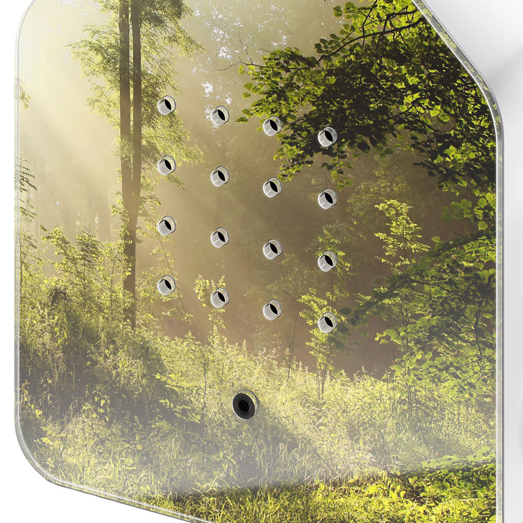 Bird Soundbox: Sunbeam、mySite、topwebapps