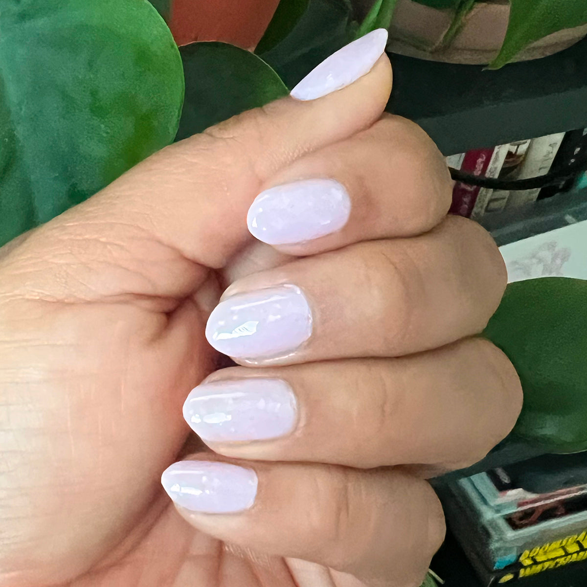 Glitter Cowgirl、mySite、solidvoid