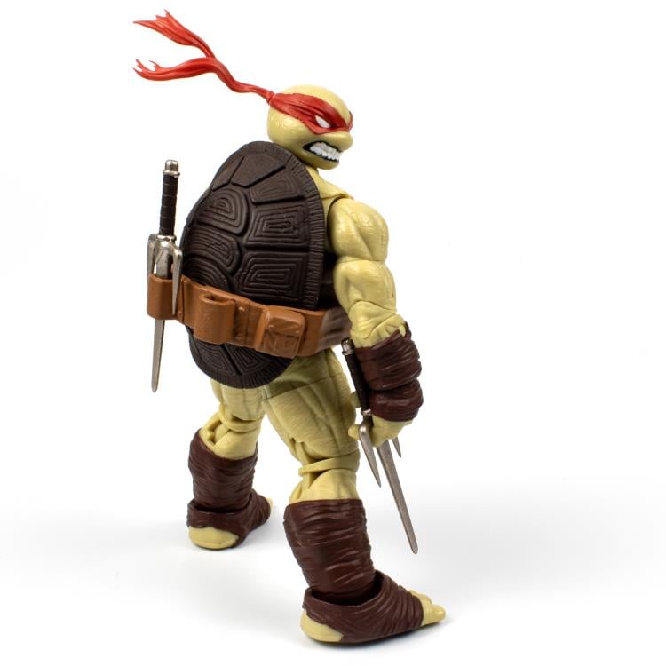 Teenage Mutant Ninja Turtles BST AXN IDW Comic Raphael (Version 2)、mySite、hgirdovlk