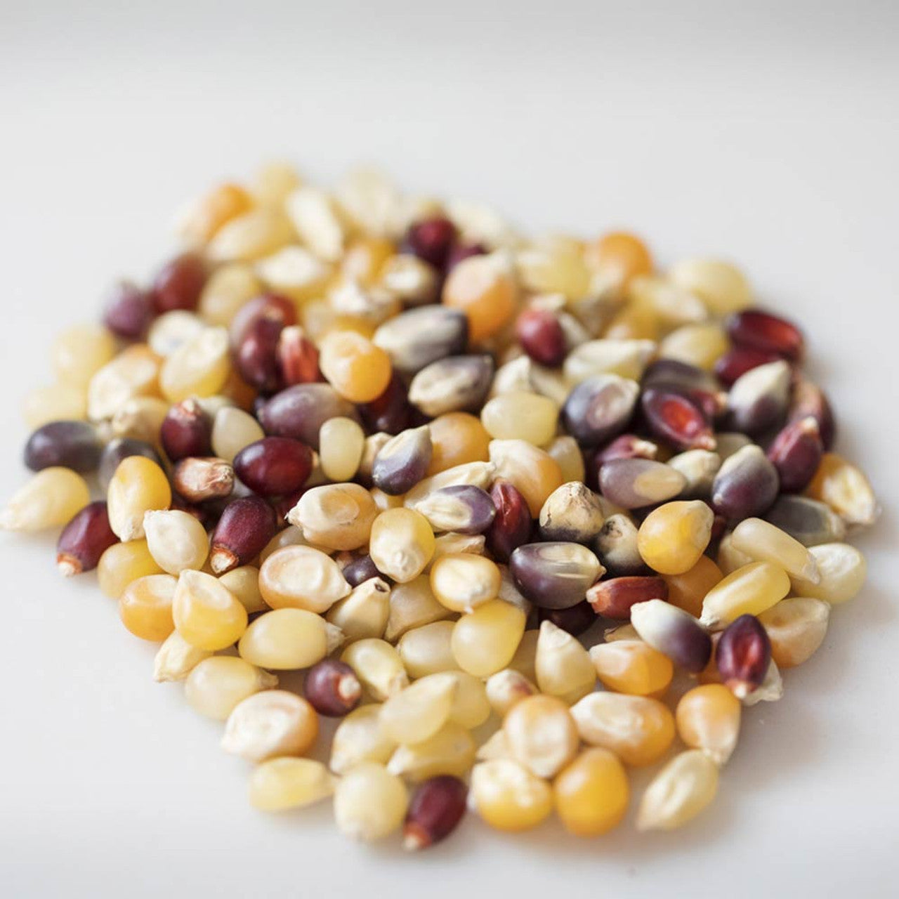 Amish Country Popcorn、mySite、garagedoors4me