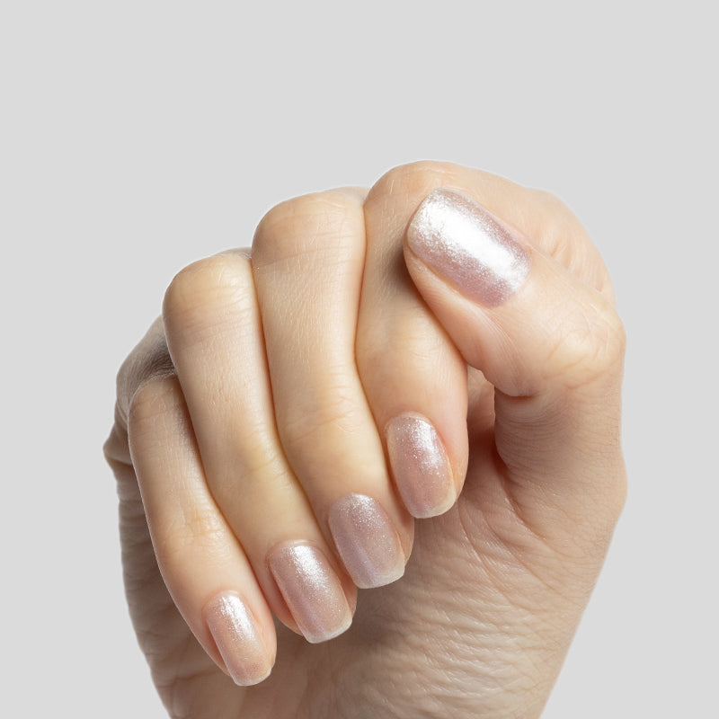 Midnight Disco、mySite、solidvoid