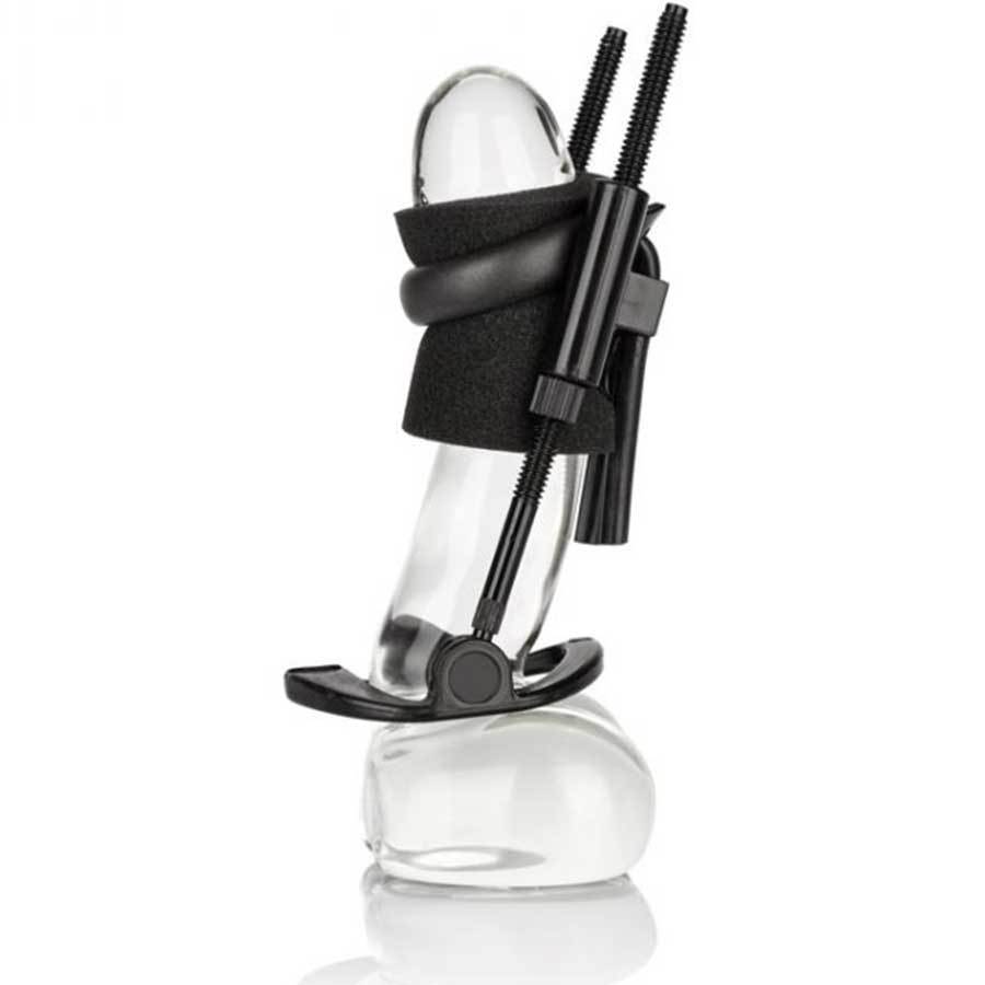 Cal Exotics Penis Stretching Cock Extender System、mySite、bottomscart