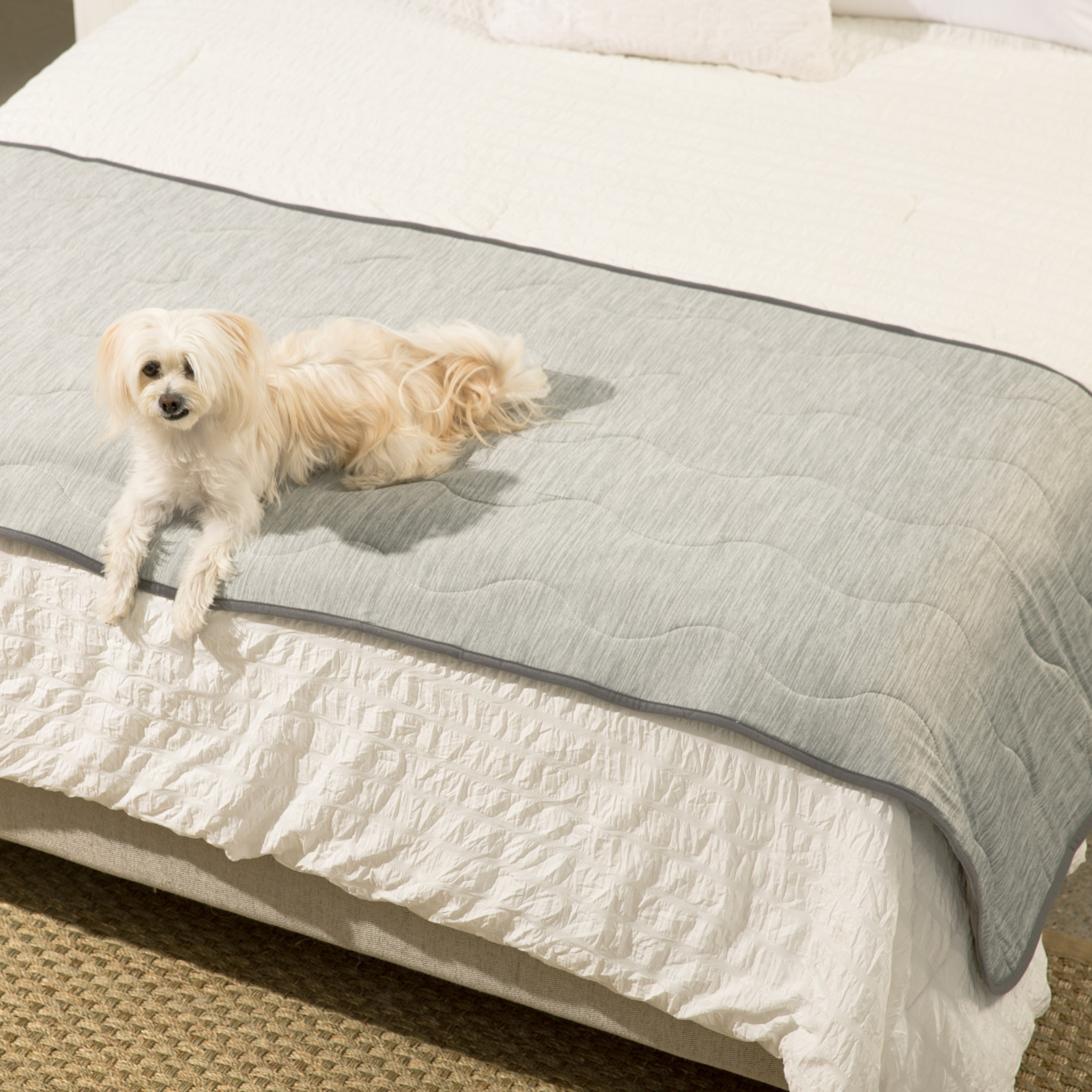 PupChill™ Cooling Waterproof Runner Blanket - Arctic Grey、mySite、solidvoid