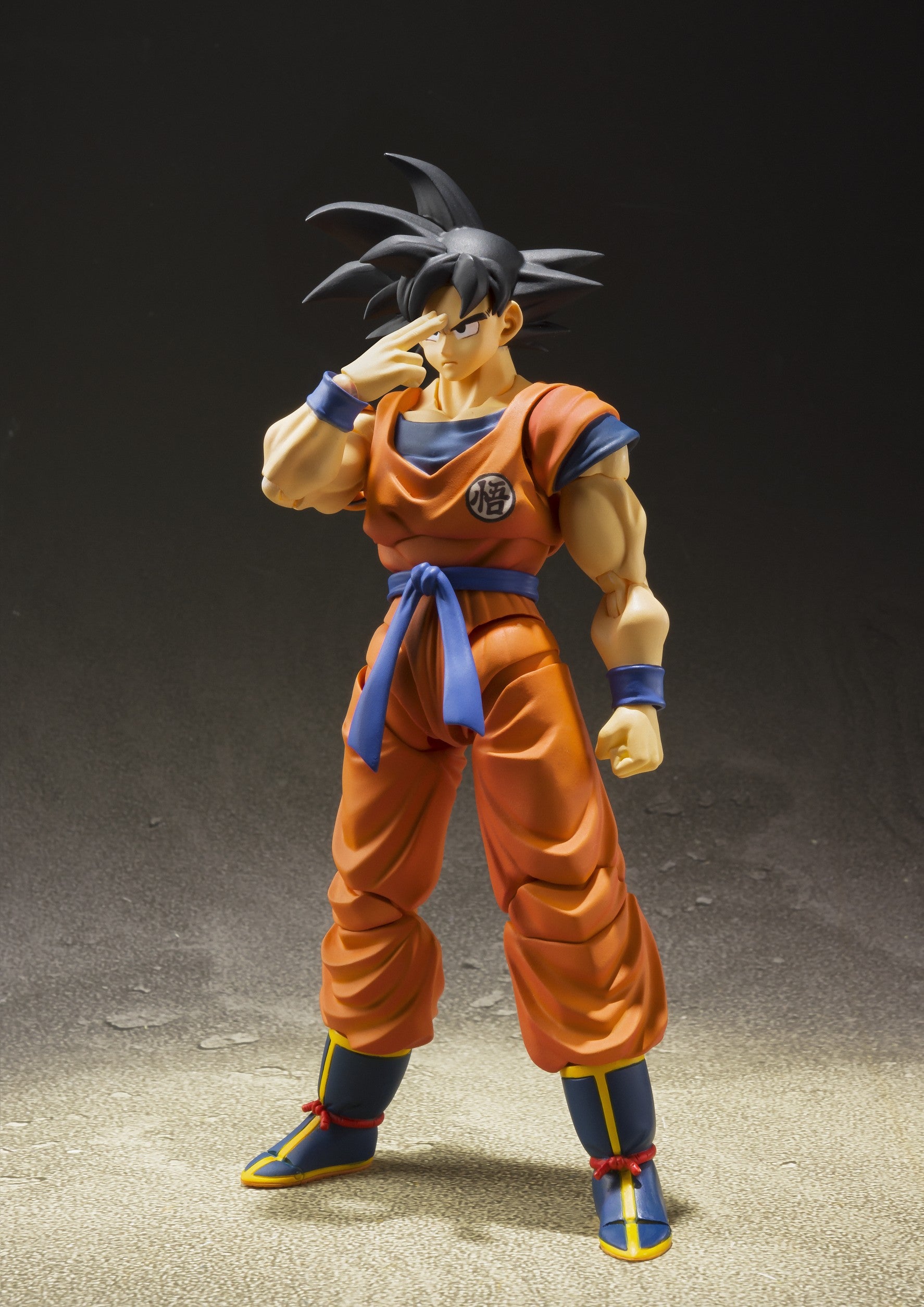 S.H.Figuarts Dragon Ball Z Goku (A Saiyan Raised On Earth)、mySite、hgirdovlk