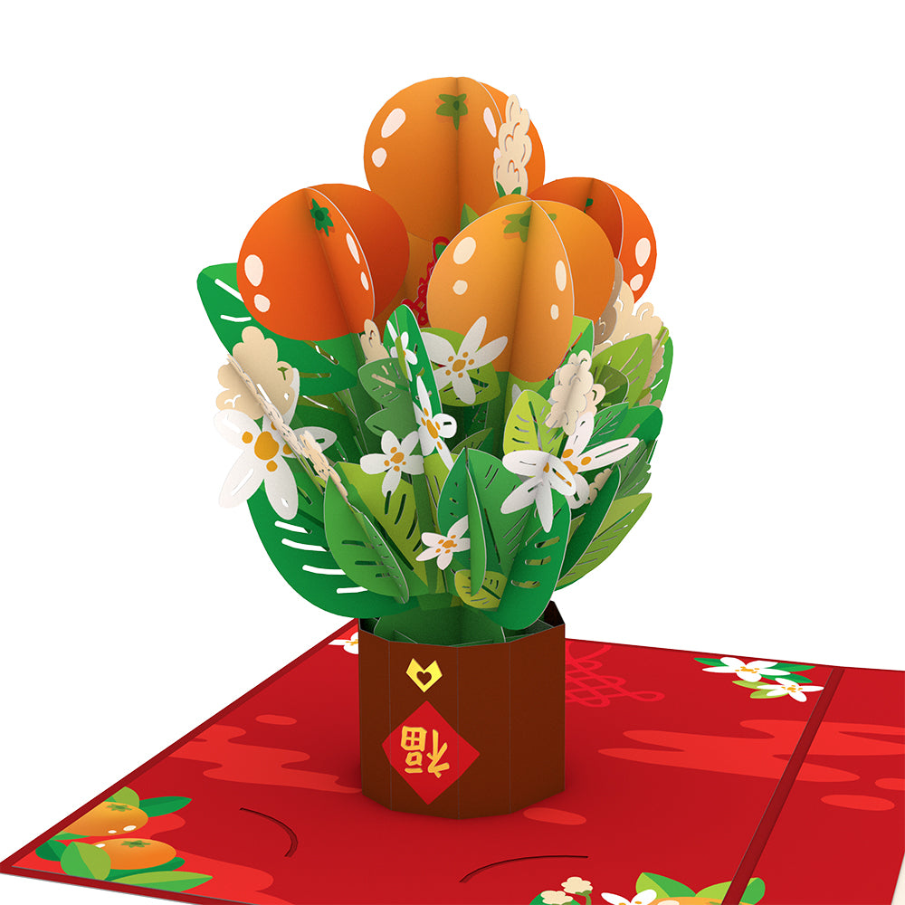 Lunar New Year Tangerine Tree Card with Mini Bouquet、mySite、solidvoid