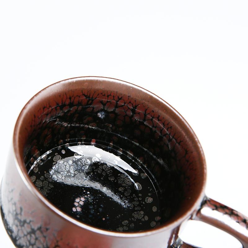 Succulent Coffee Cup、mySite、hinf8tx79