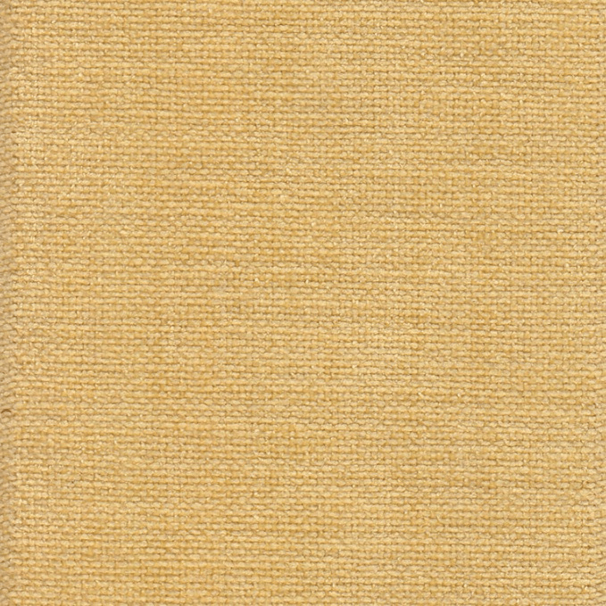 Grade A: Club CL119、mySite、neckold