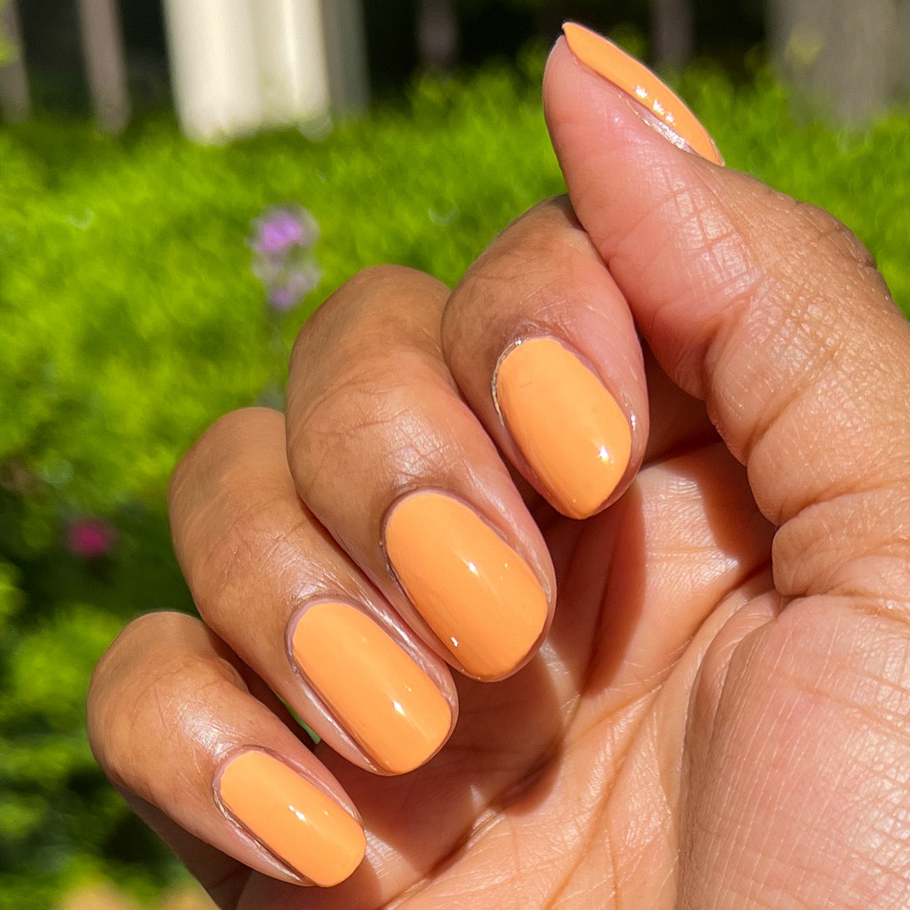 Counselor In Training、mySite、solidvoid