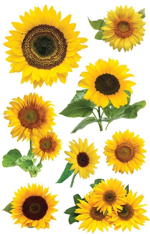  Scrapbook Stickers - 3D Sunflowers、mySite、ghnorth