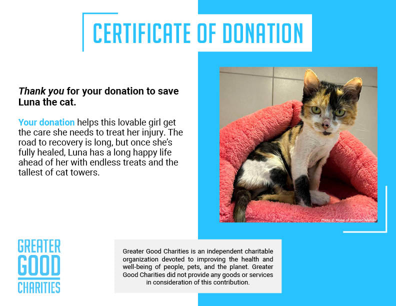 Funded: Luna Needs Support to Get Back on Her Feet、mySite、camillekostekn