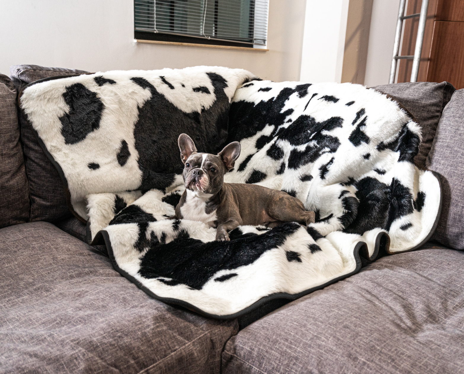 PupRug™ Memory Foam Bed + Matching Waterproof Blanket Bundle - Black Faux Cowhide、mySite、solidvoid