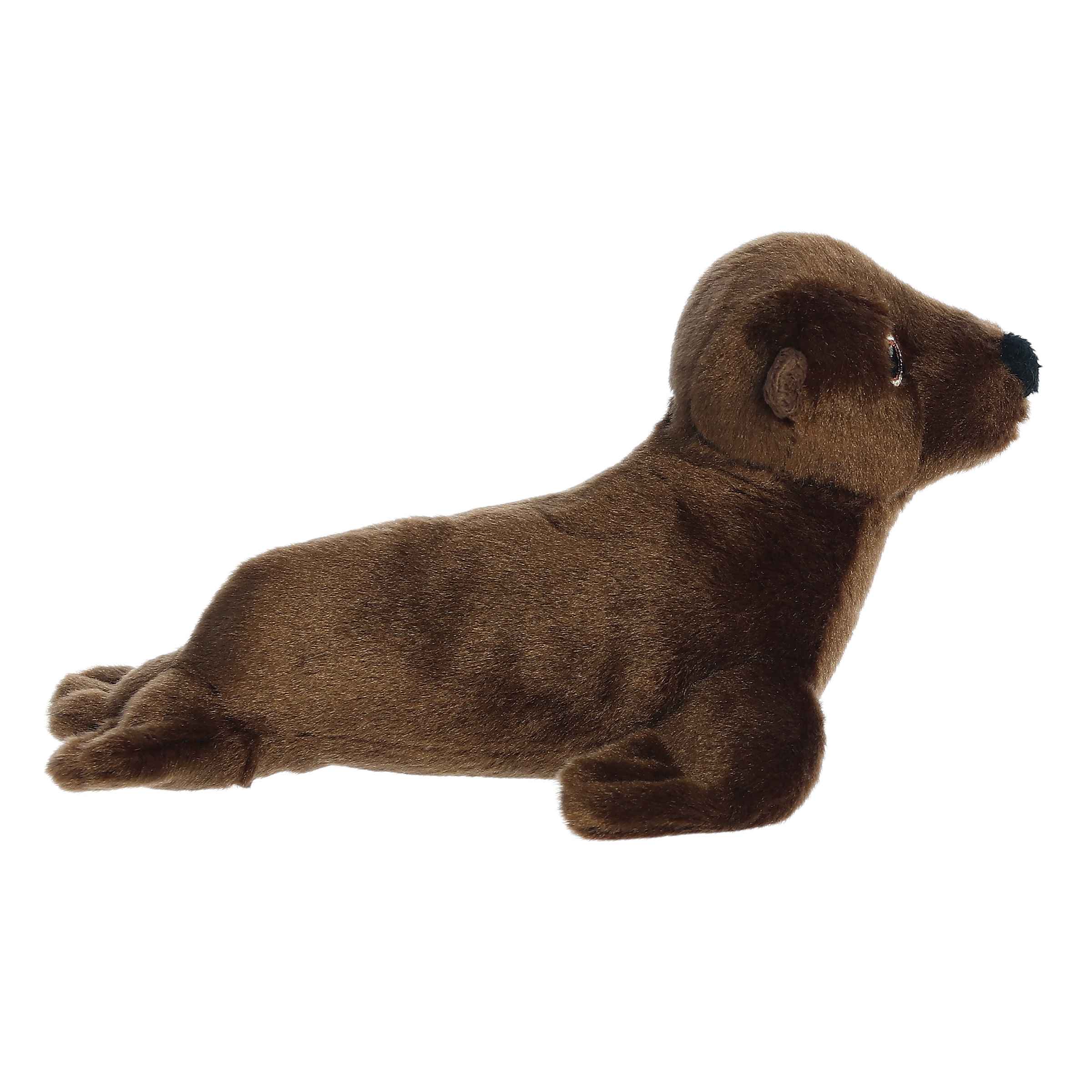 Aurora® - Eco Nation™ - Eco Softies™ - 8 California Sea Lion、mySite、g9winljtr