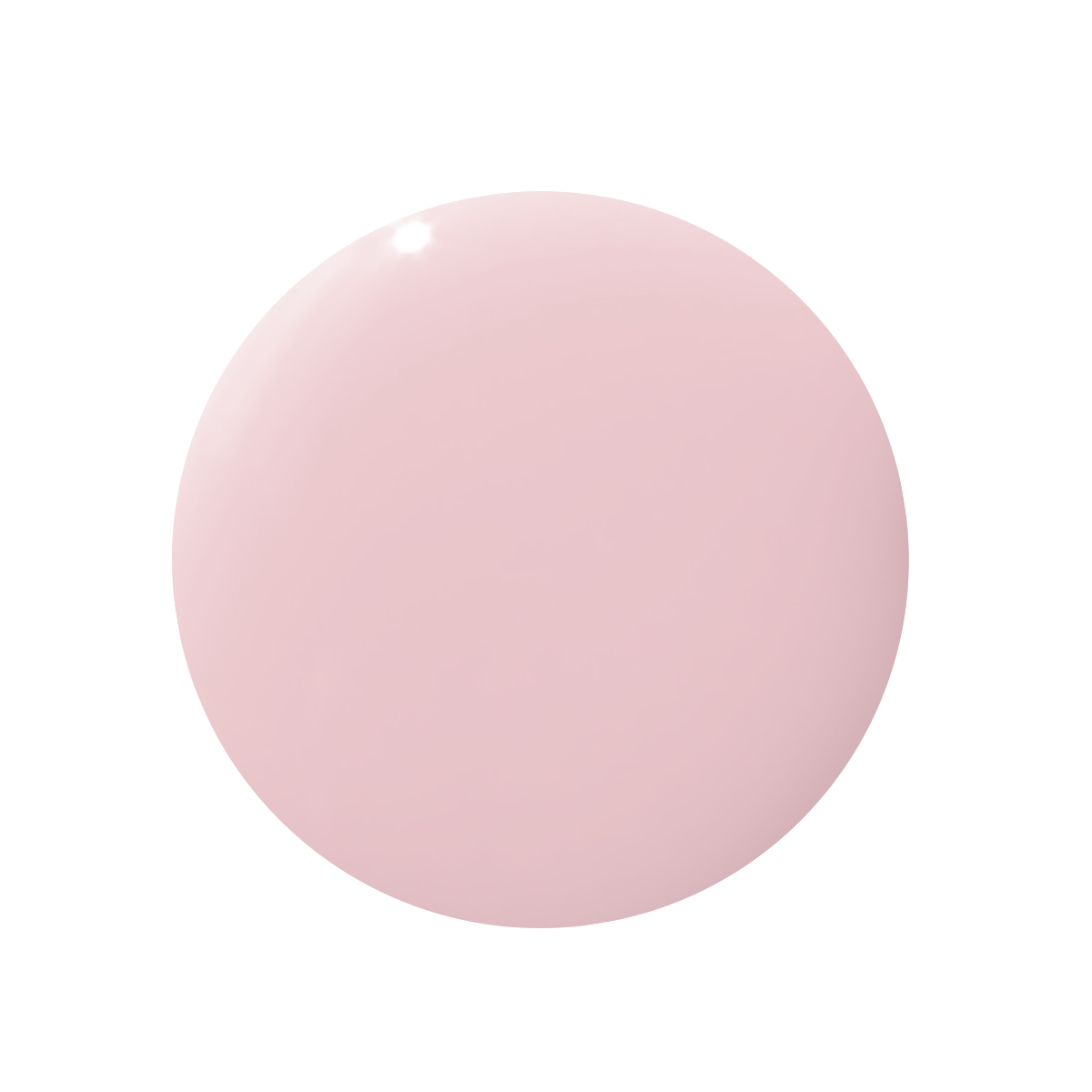 Sandy、mySite、solidvoid