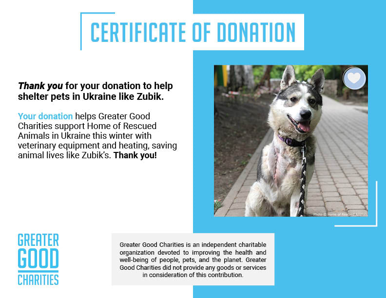 Funded: Zubik was Injured in a Missile Strike: You Can Help、mySite、camillekostekn