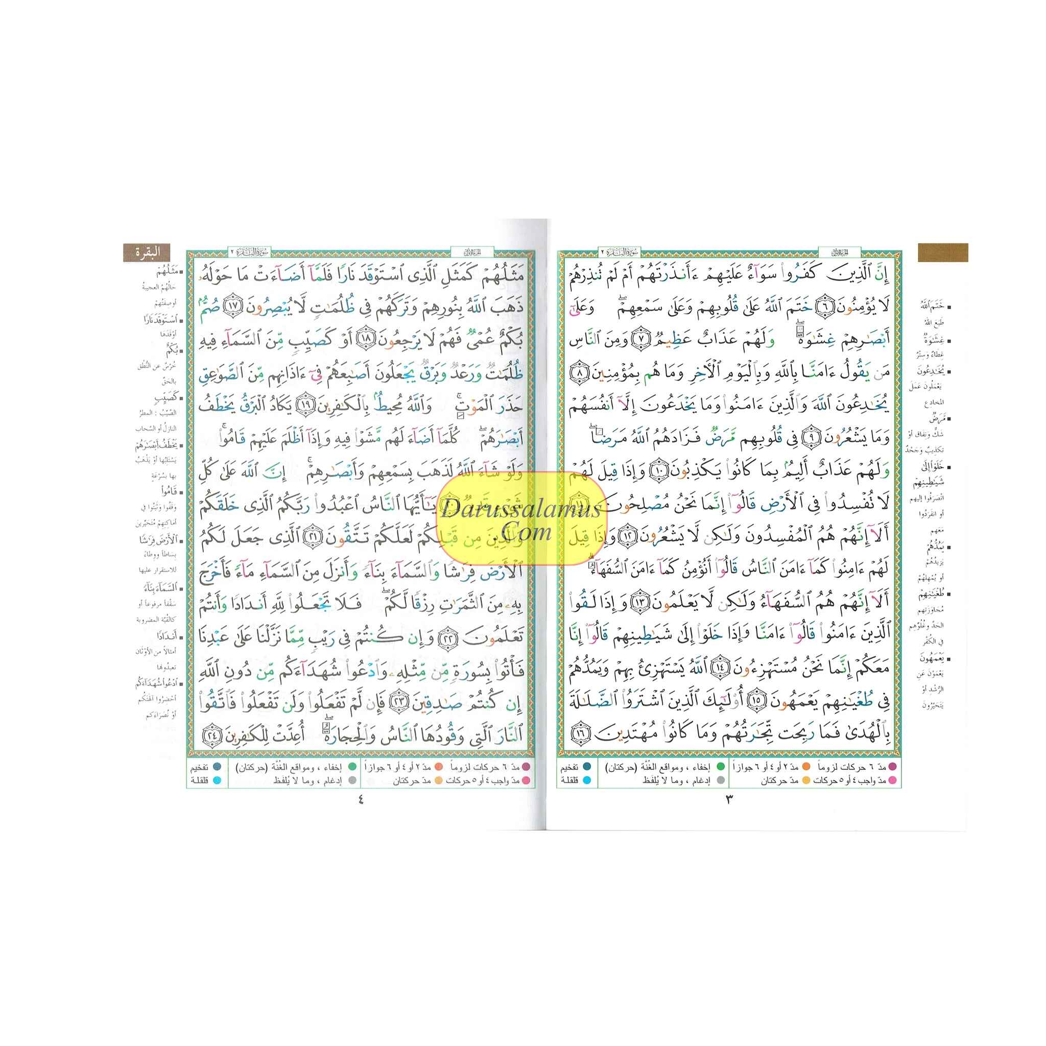 Tajweed Quran Arabic Only Medium Size-White Paper-Economic Edition、mySite、topwebapps