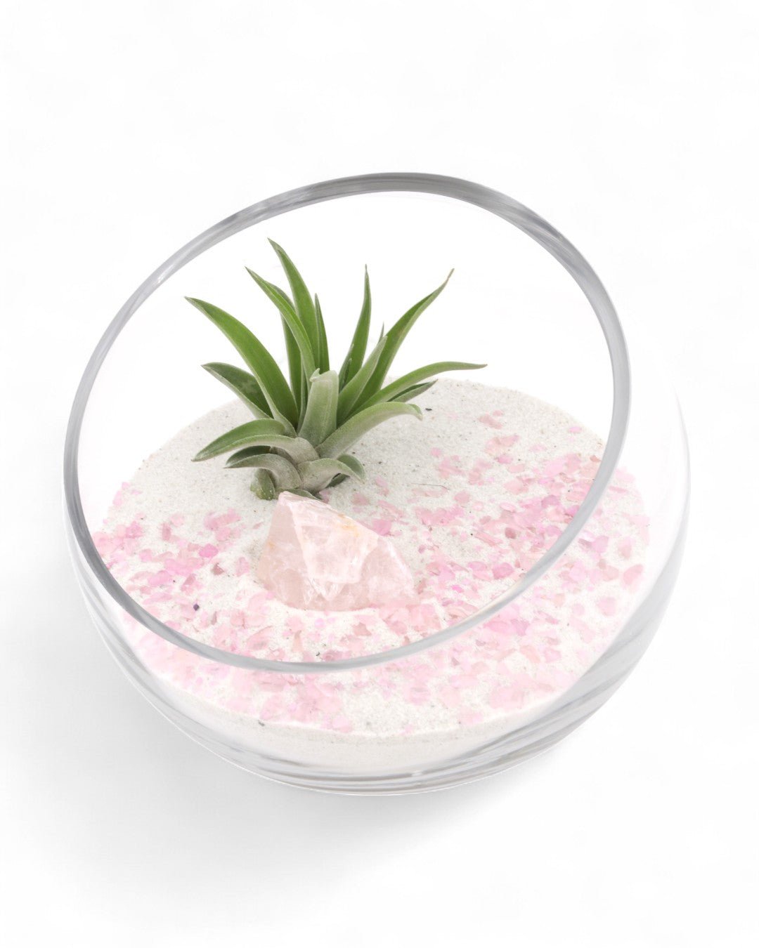 Rose Quartz Gemstone Crystal Terrarium、mySite、topwebapps