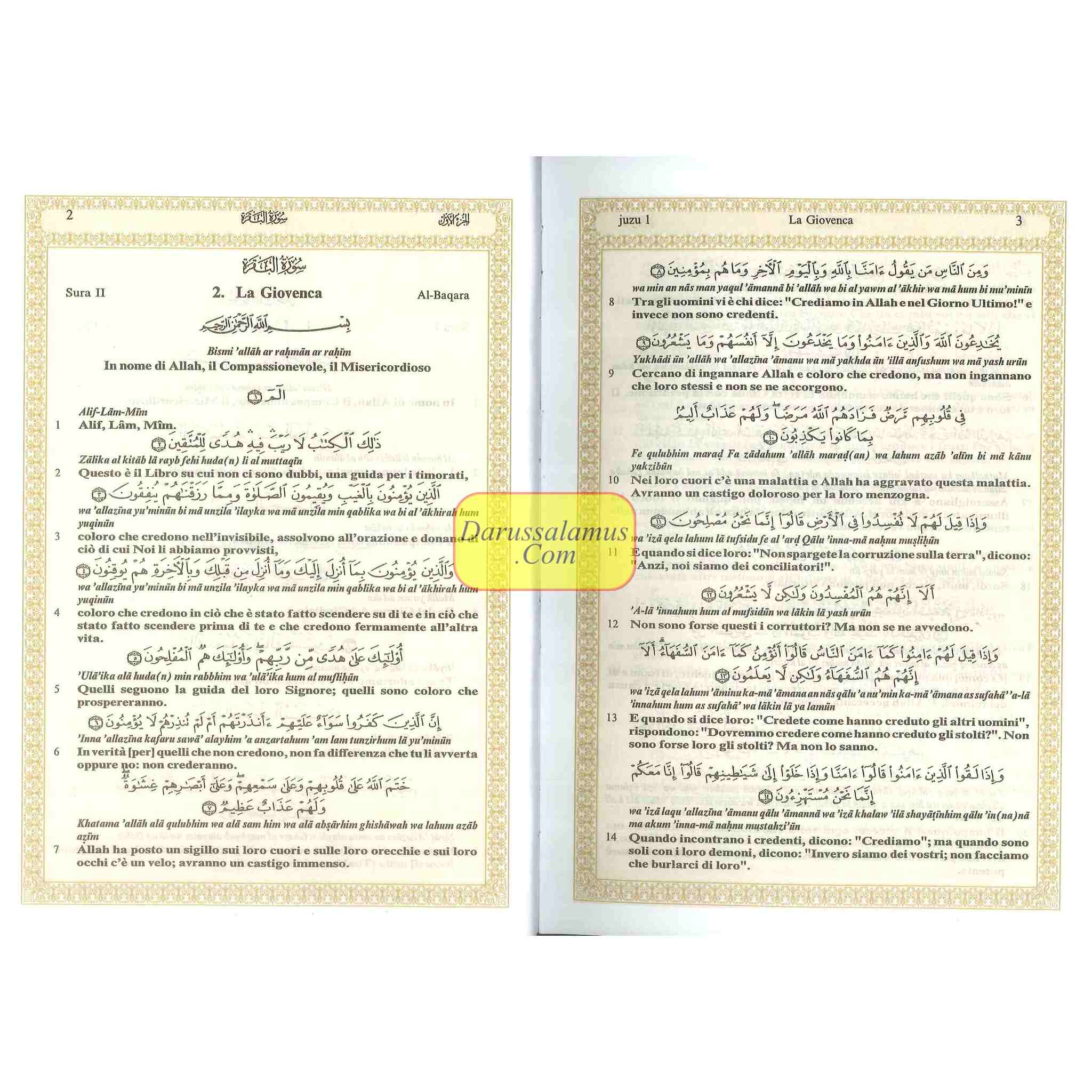 Quran In Italian Language,(Translation in Italian),(Transliteration In English),IL Sacro Corano e la traduzione in lingua italiana del senso dei suoi、mySite、topwebapps