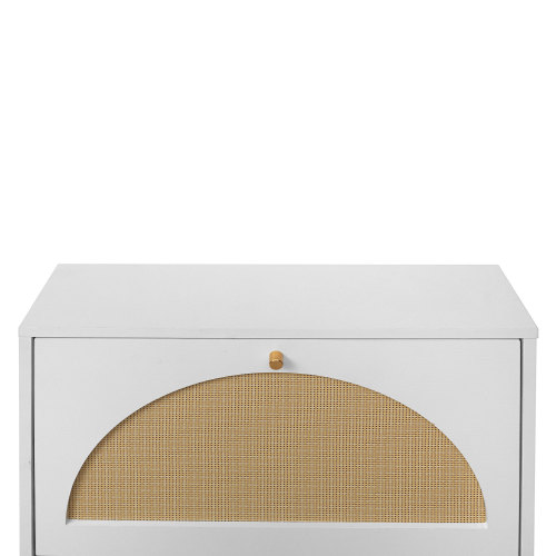 2 Door Shoe Rack, Rattan, Double Layer, Suitable for Living Room, Hallway、、casual