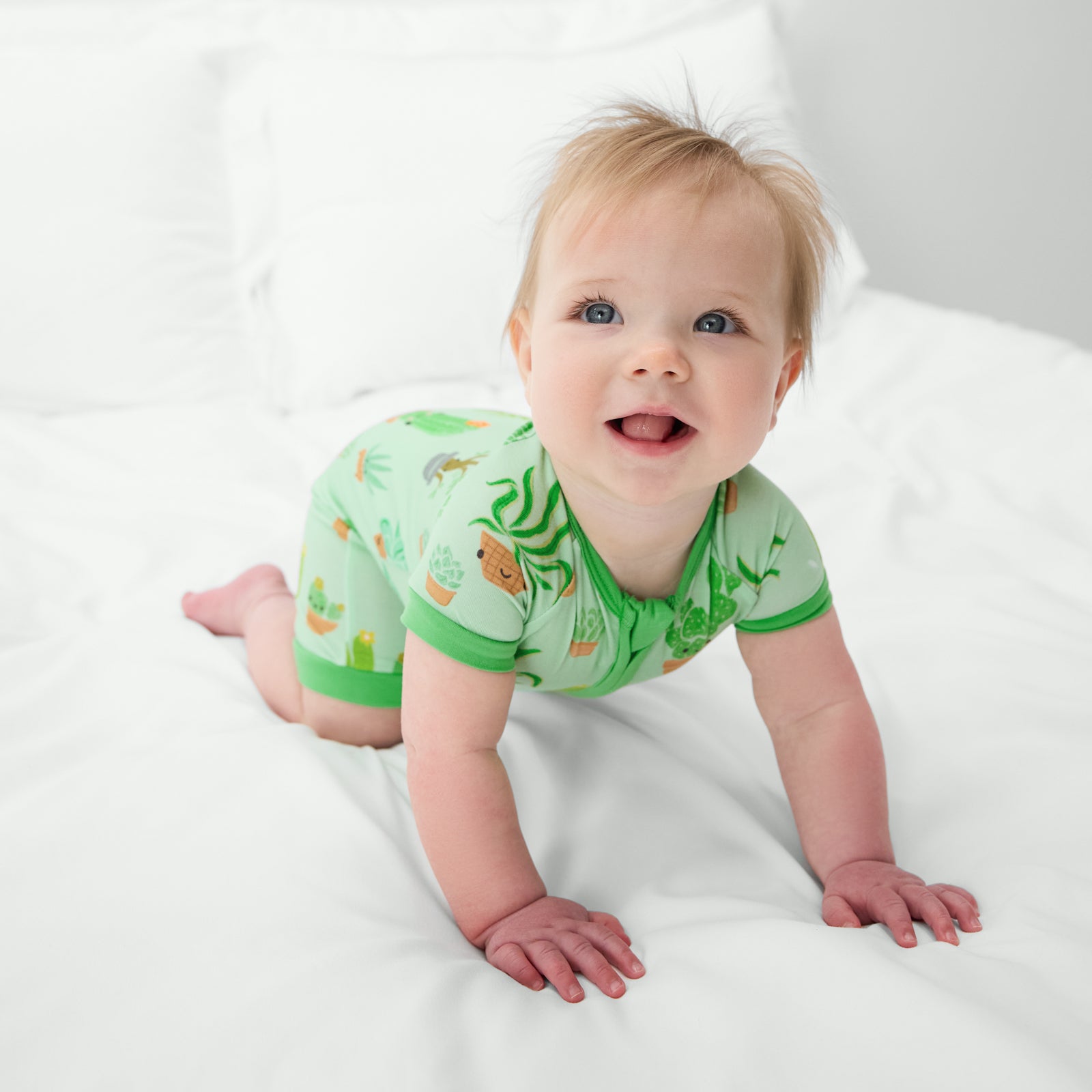 Succulent Love Shorty Zippy、mySite、g9winljtr