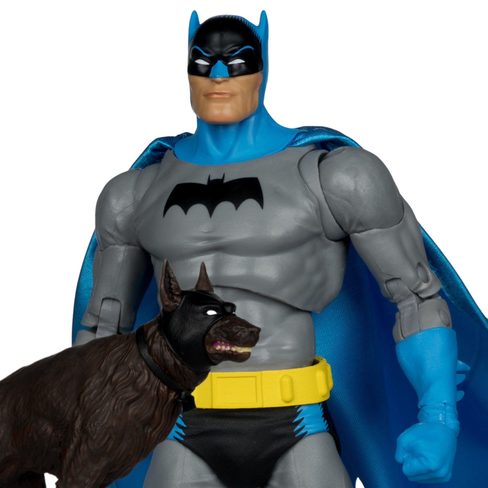 DC Multiverse Batman & Ace The Bat-Hound (Silver Age)、mySite、hgirdovlk