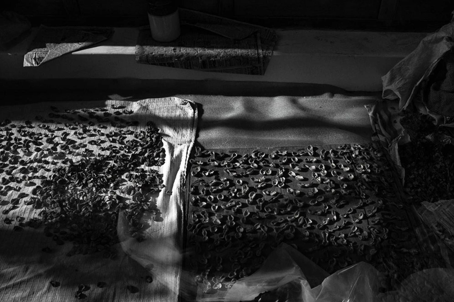 'End of apricot season, drying apricots in the sun' - Aman Chotani original print、mySite、topwebapps