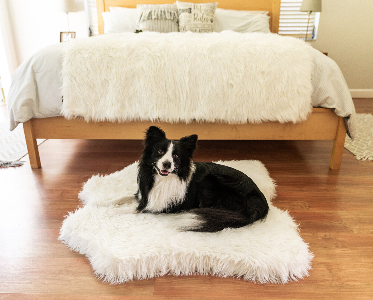 PupRug™ Junior Memory Foam Bed + Matching Waterproof Blanket Bundle - Polar Bear Faux Hide、mySite、solidvoid