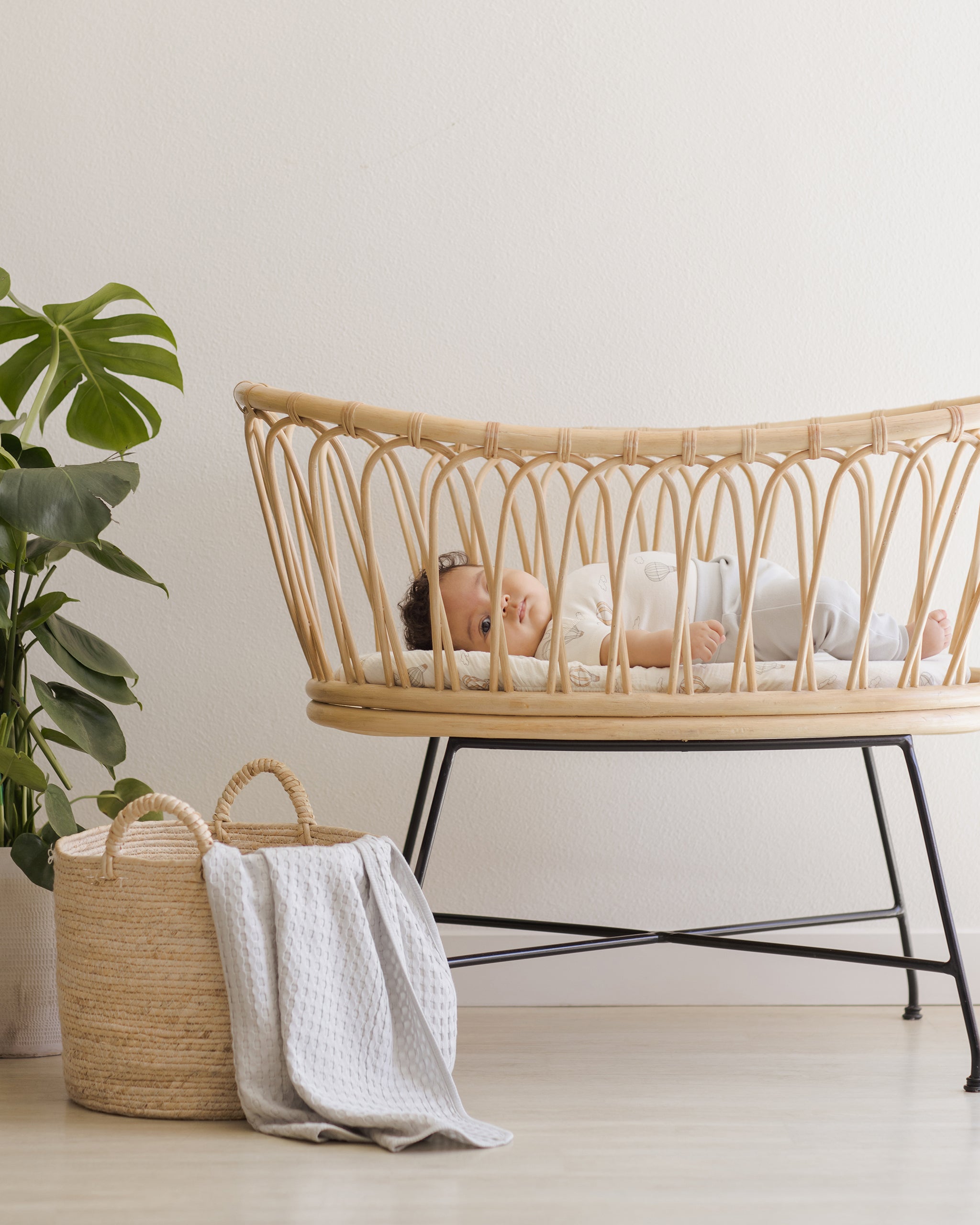  Baby Pant || Sky、mySite、layawaytickets