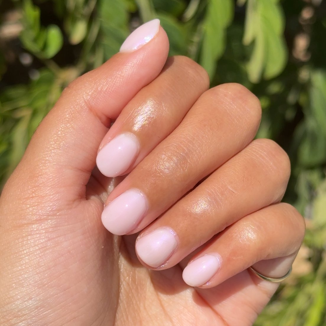 Kiss of Chrome、mySite、solidvoid