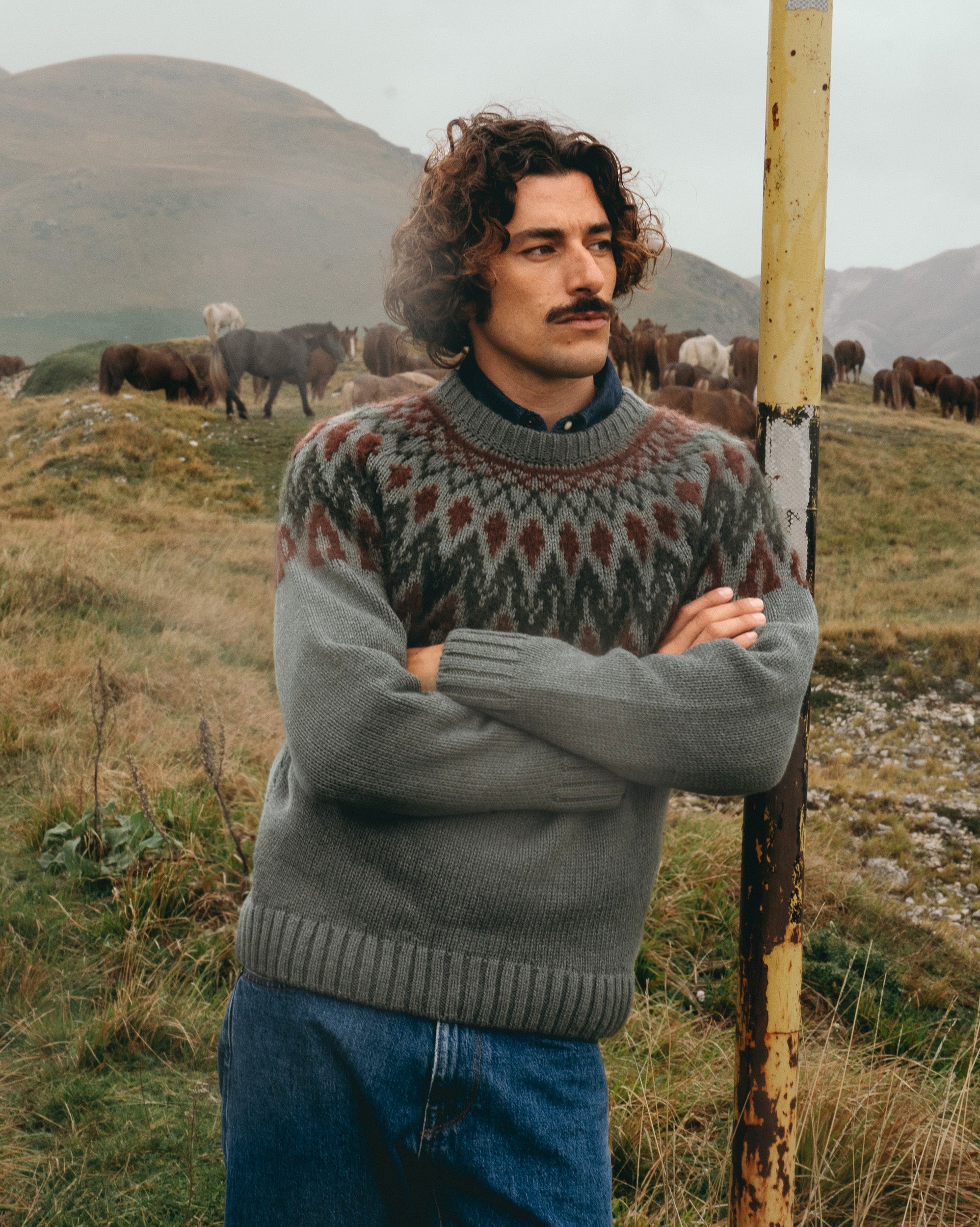  Saludecio、mySite、merchandisen