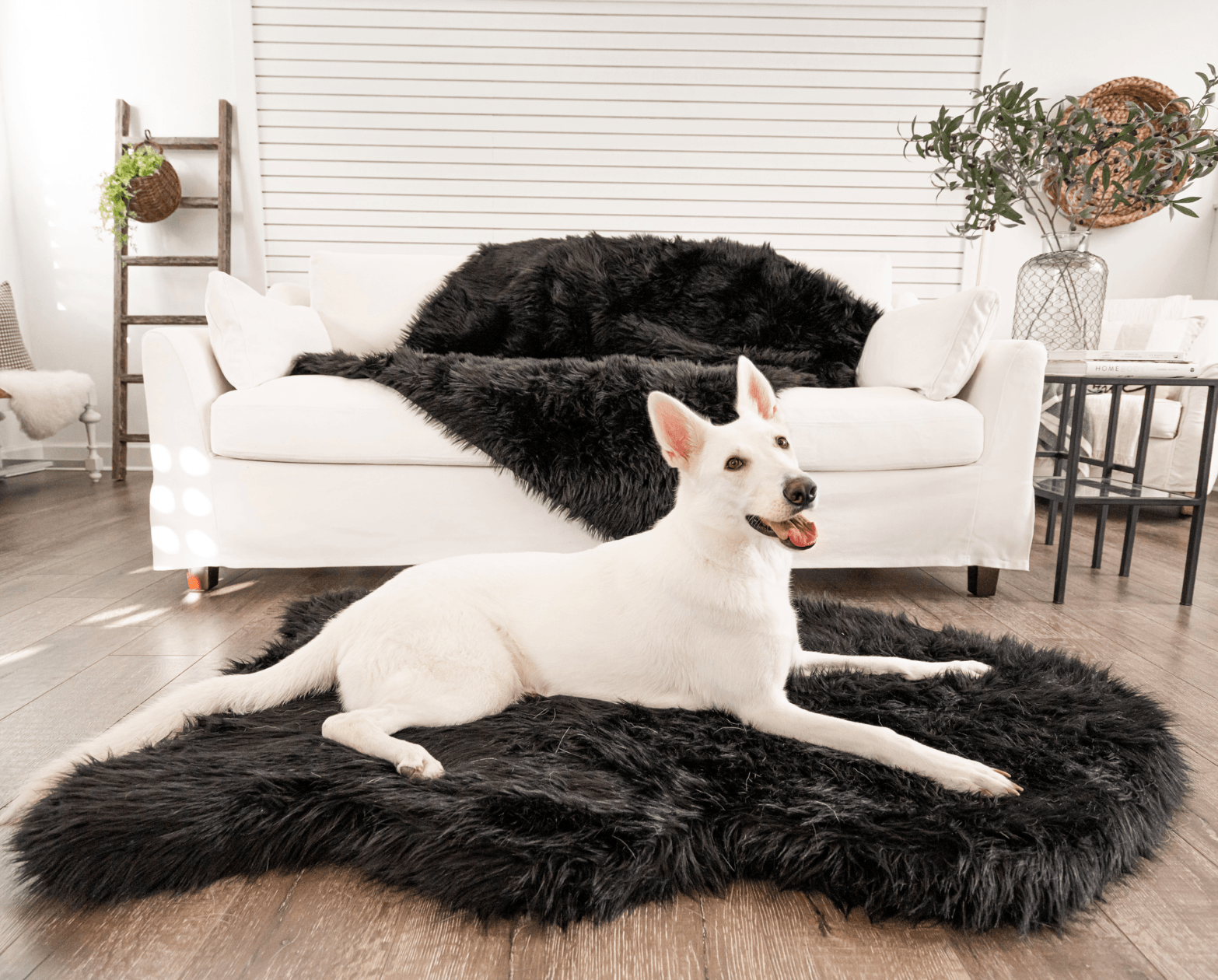 PupRug by Paw.com™ Faux Fur Orthopedic Dog Bed - Curve Midnight Black、mySite、solidvoid