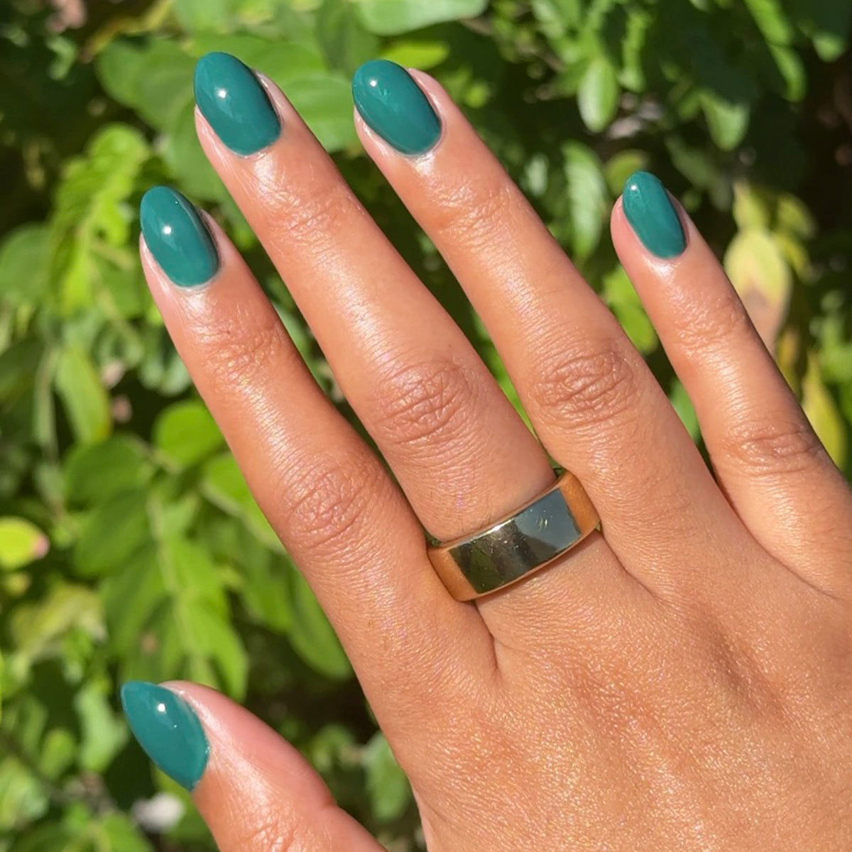 Fiddlefig - Gel、mySite、solidvoid