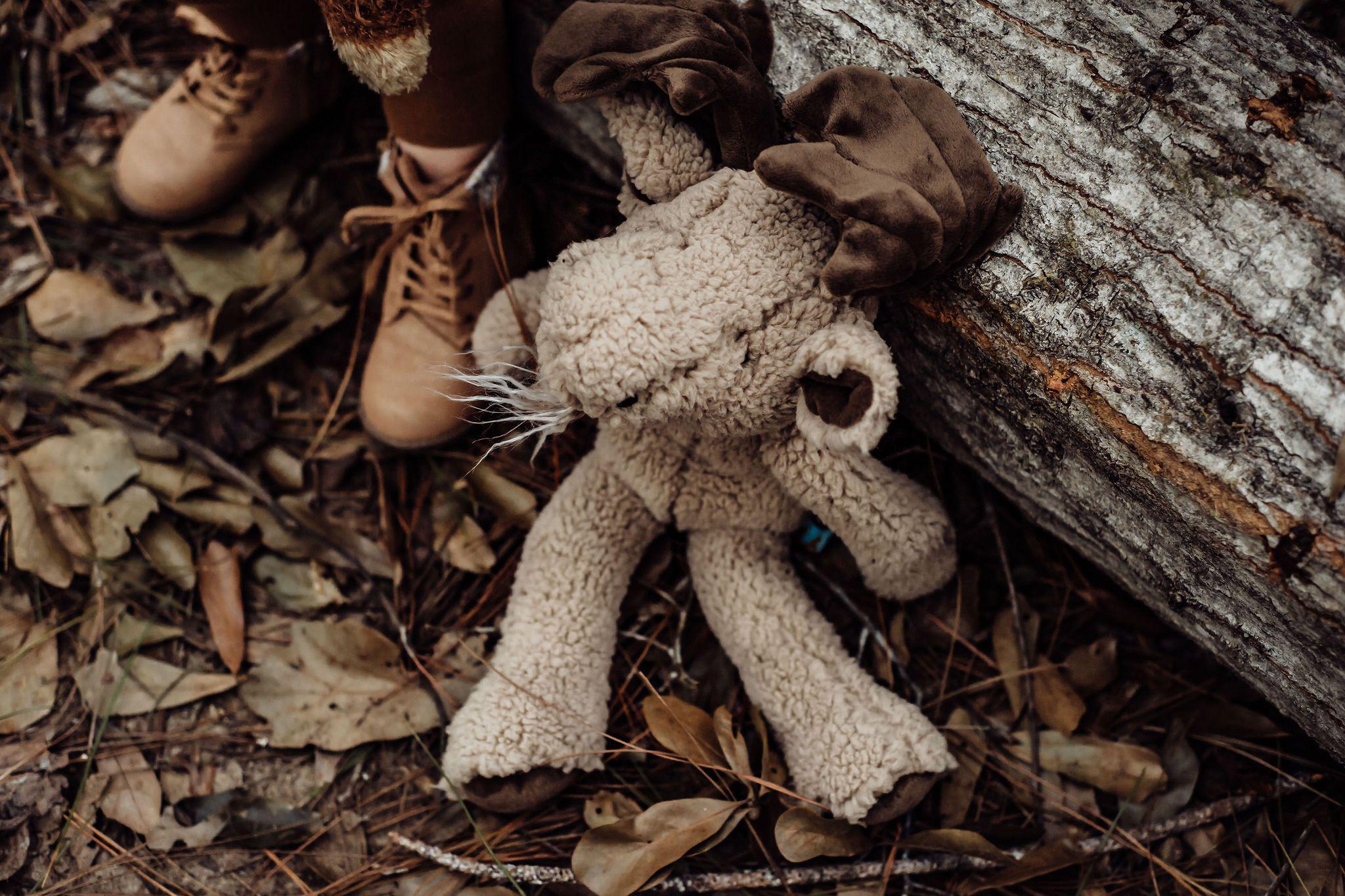 RETIRED - Bruce the Moose Saves The Day! Gift Set、mySite、g9winljtr