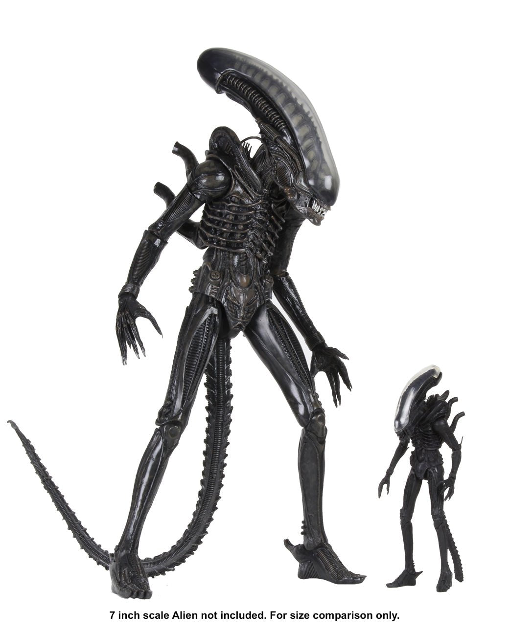 NECA Alien Ultimate 40th Anniversary Big Chap (1:4 Scale) (Re-Issue)、mySite、hgirdovlk