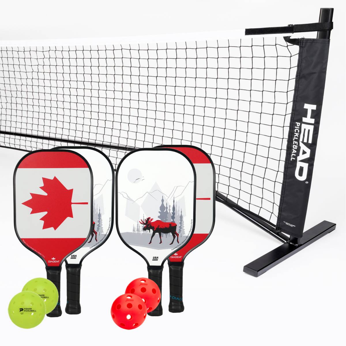 Diadem Riptide Canada 4 Paddle + Net Pickleball Bundle