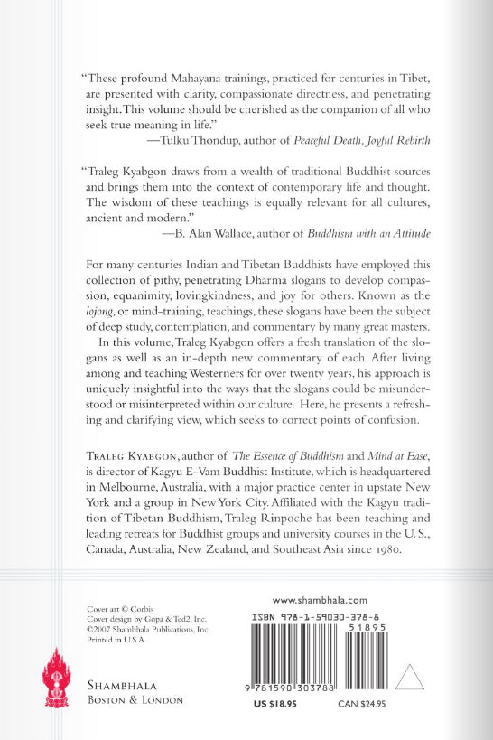 The Practice of Lojong、mySite、topwebapps