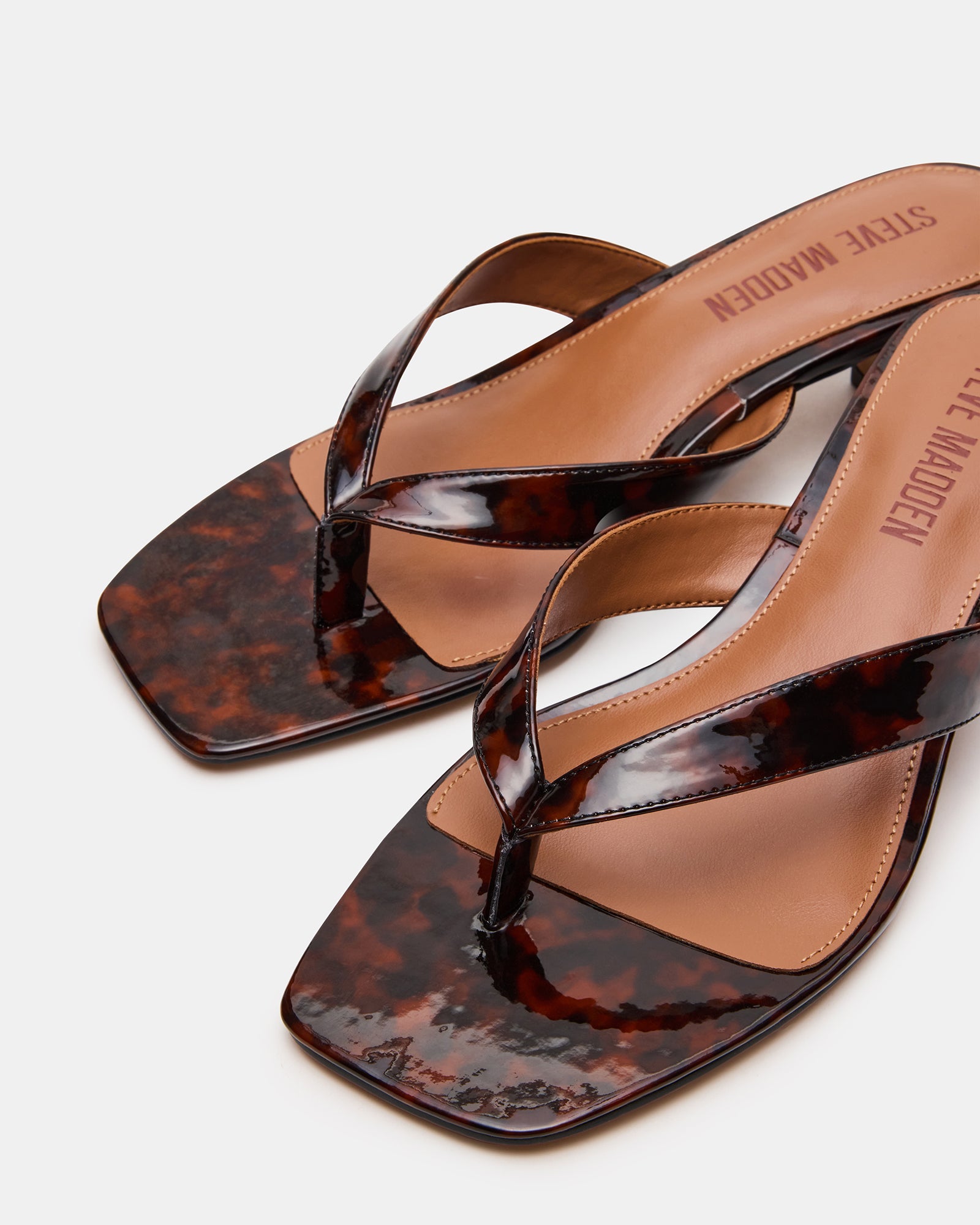 TRACIE TORTOISE、mySite、gtrtttuynbv