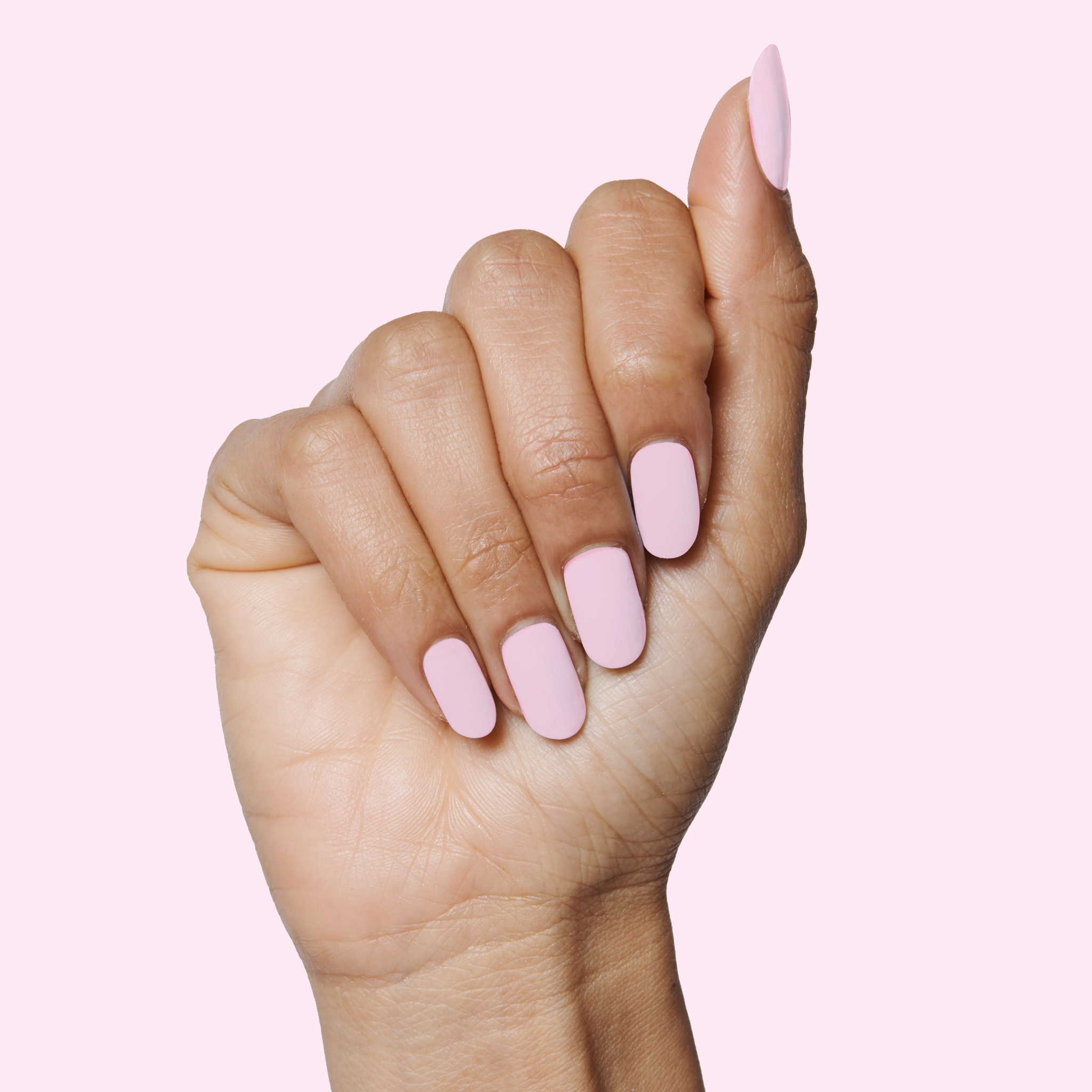 Cockatoo、mySite、solidvoid