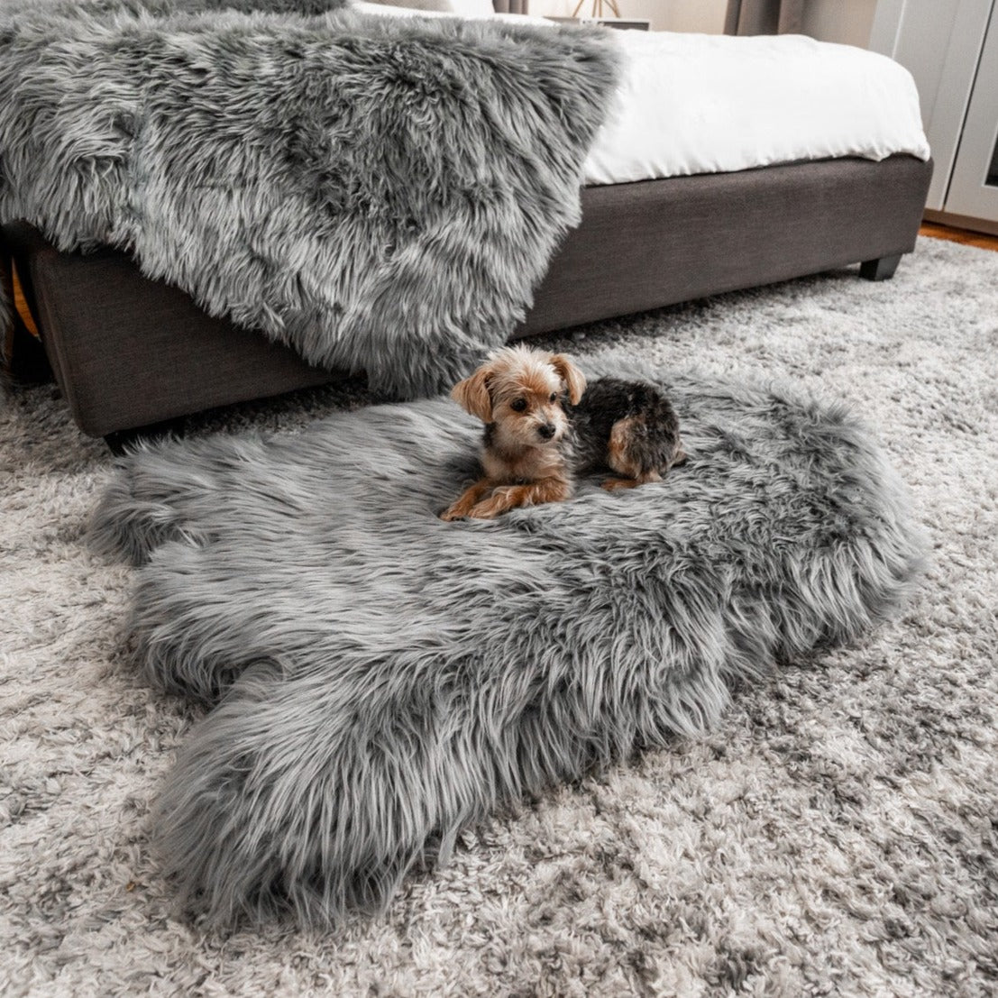 PupRug by Paw.com™ Faux Fur Orthopedic Dog Bed - Curve Charcoal Grey、mySite、solidvoid
