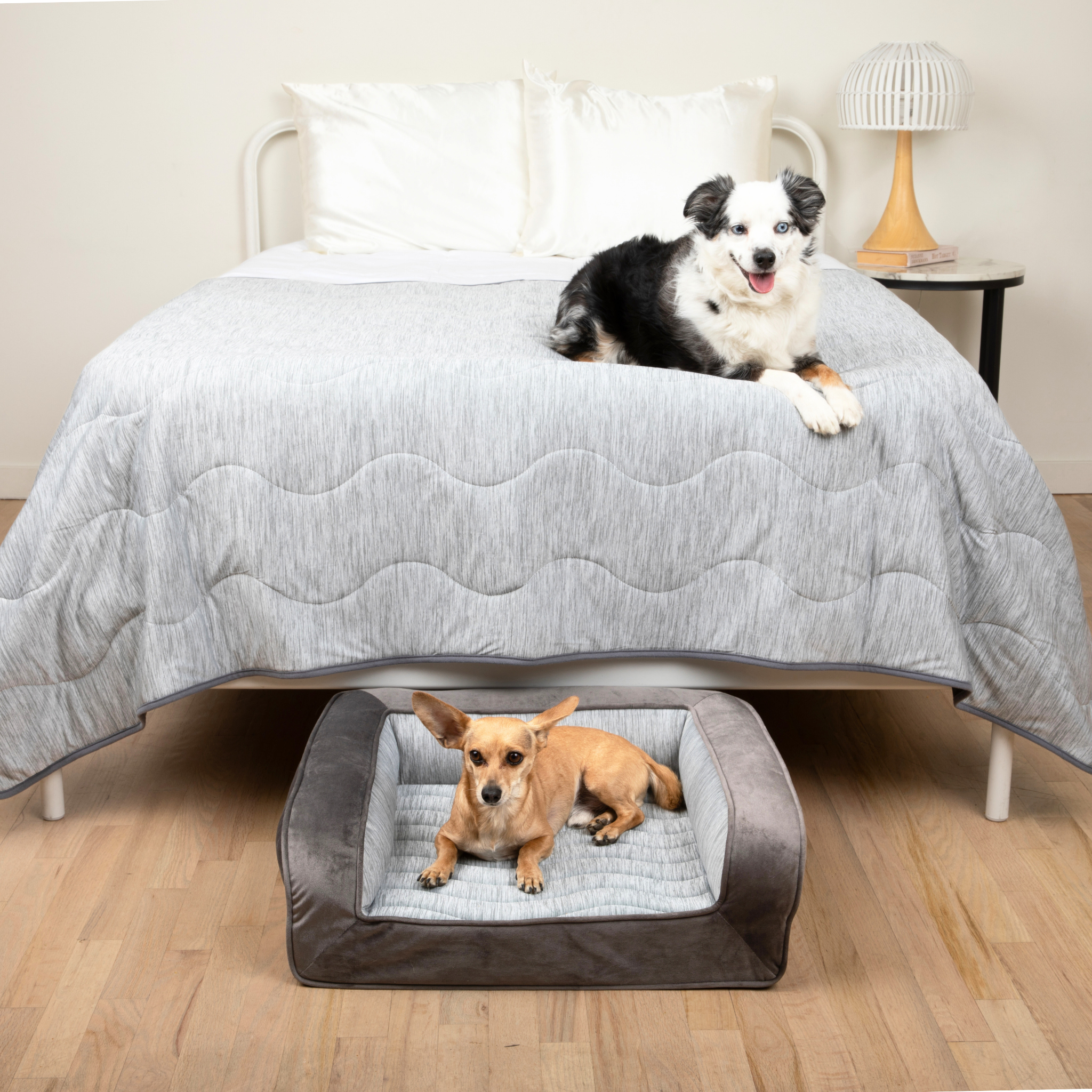PupChill™ Cooling Bolster Dog Bed + Waterproof Blanket Bundle - Arctic Grey、mySite、solidvoid
