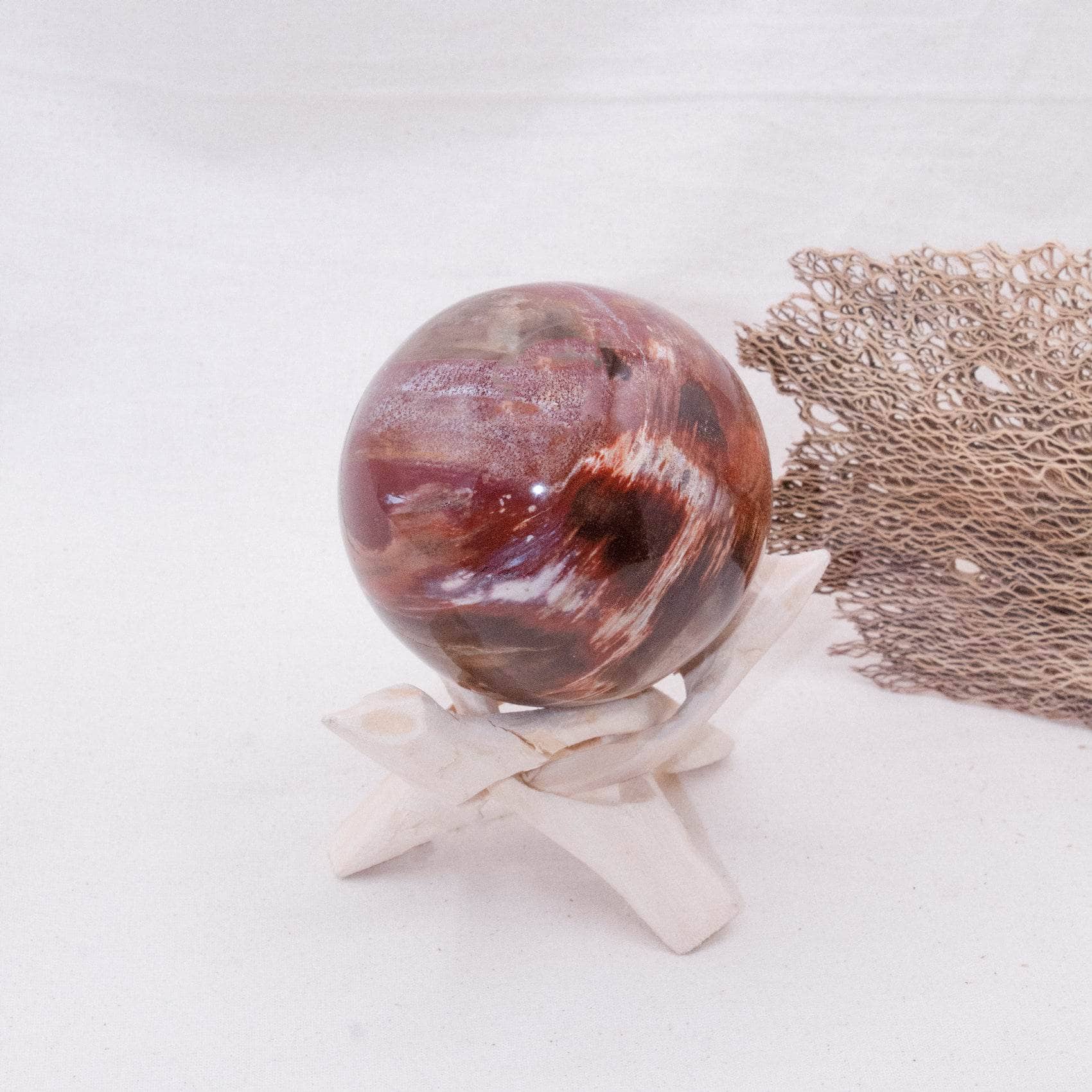 Petrified Wood Sphere - AAA Premium Quality、mySite、hinf8tx79