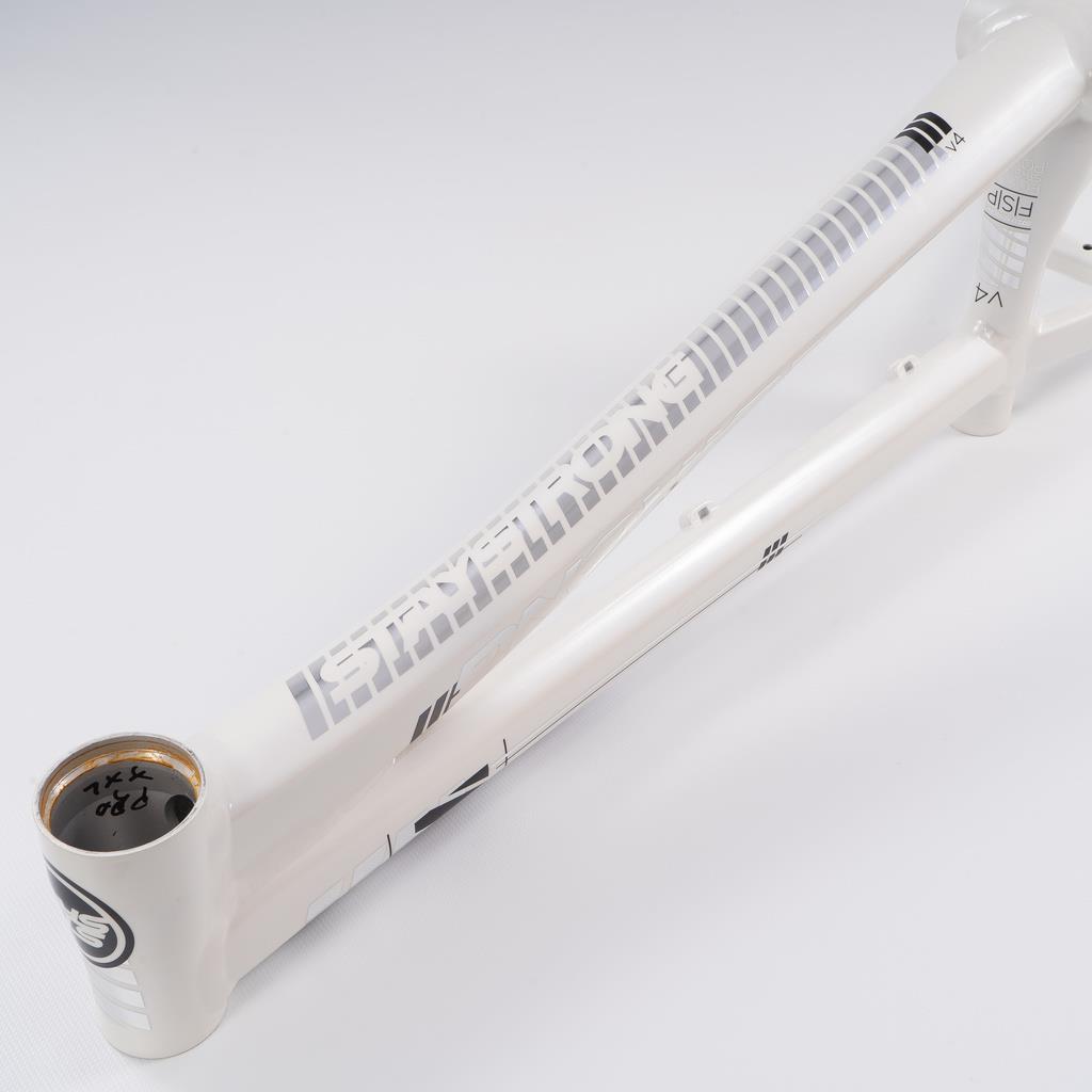  Stay Strong For Life 2023 V4 Cruiser Race Frame、mySite、merchandisen