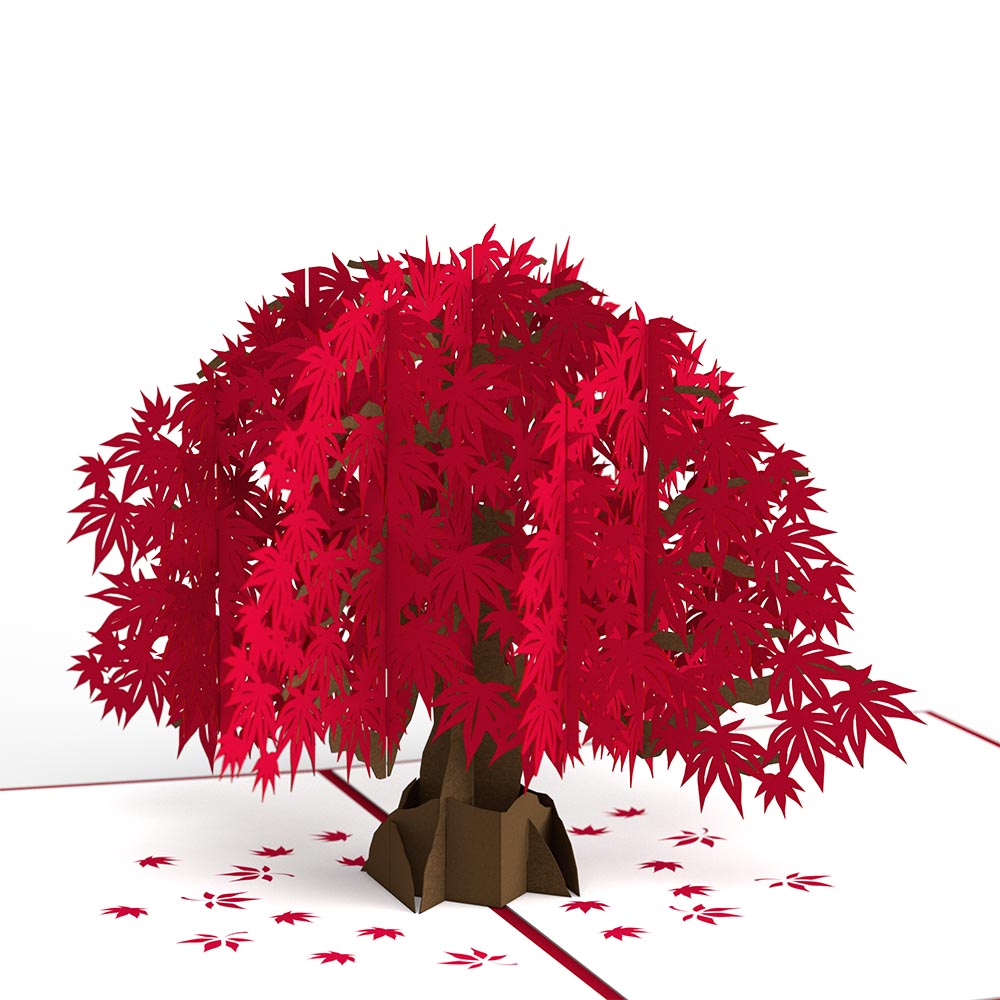 Japanese Maple Pop-Up Card、mySite、solidvoid
