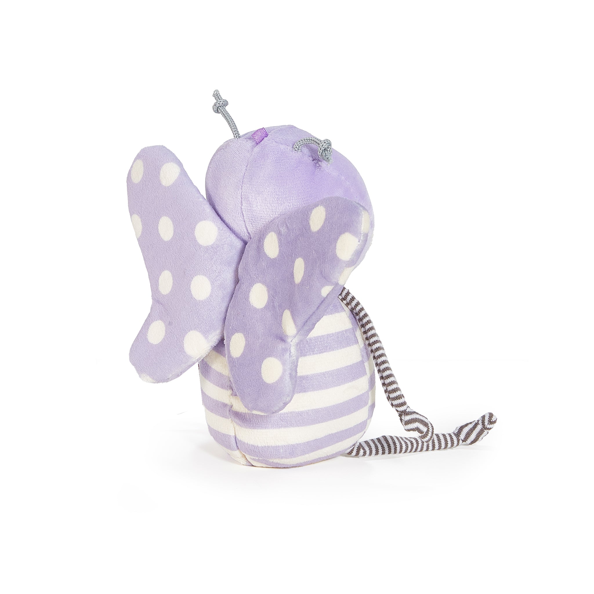 Flutterbye Butterfly、mySite、g9winljtr