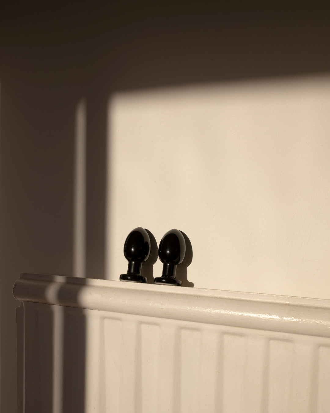 Xaga Root、mySite、bottomscart