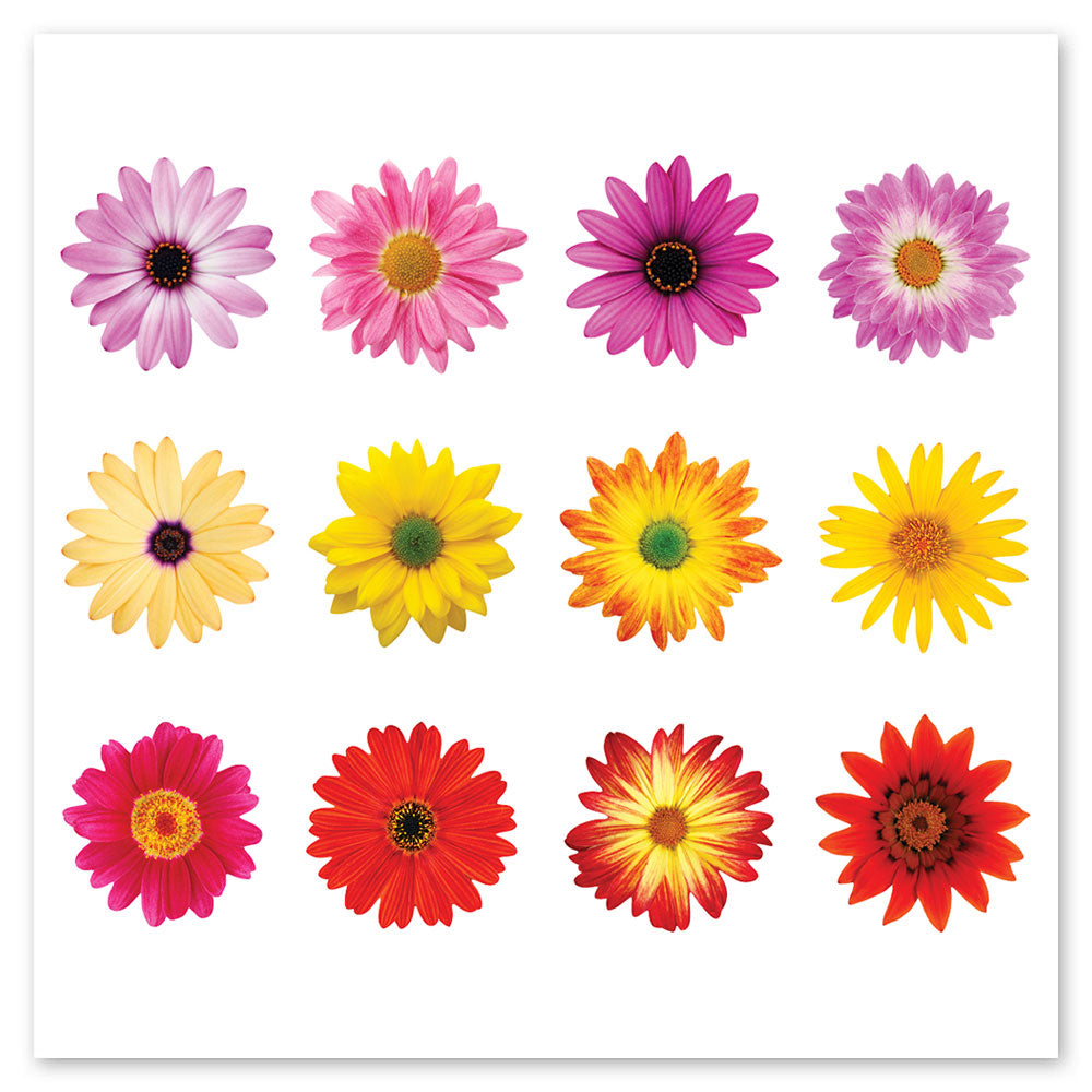  Flowers By The Dozen Stickers、mySite、ghnorth