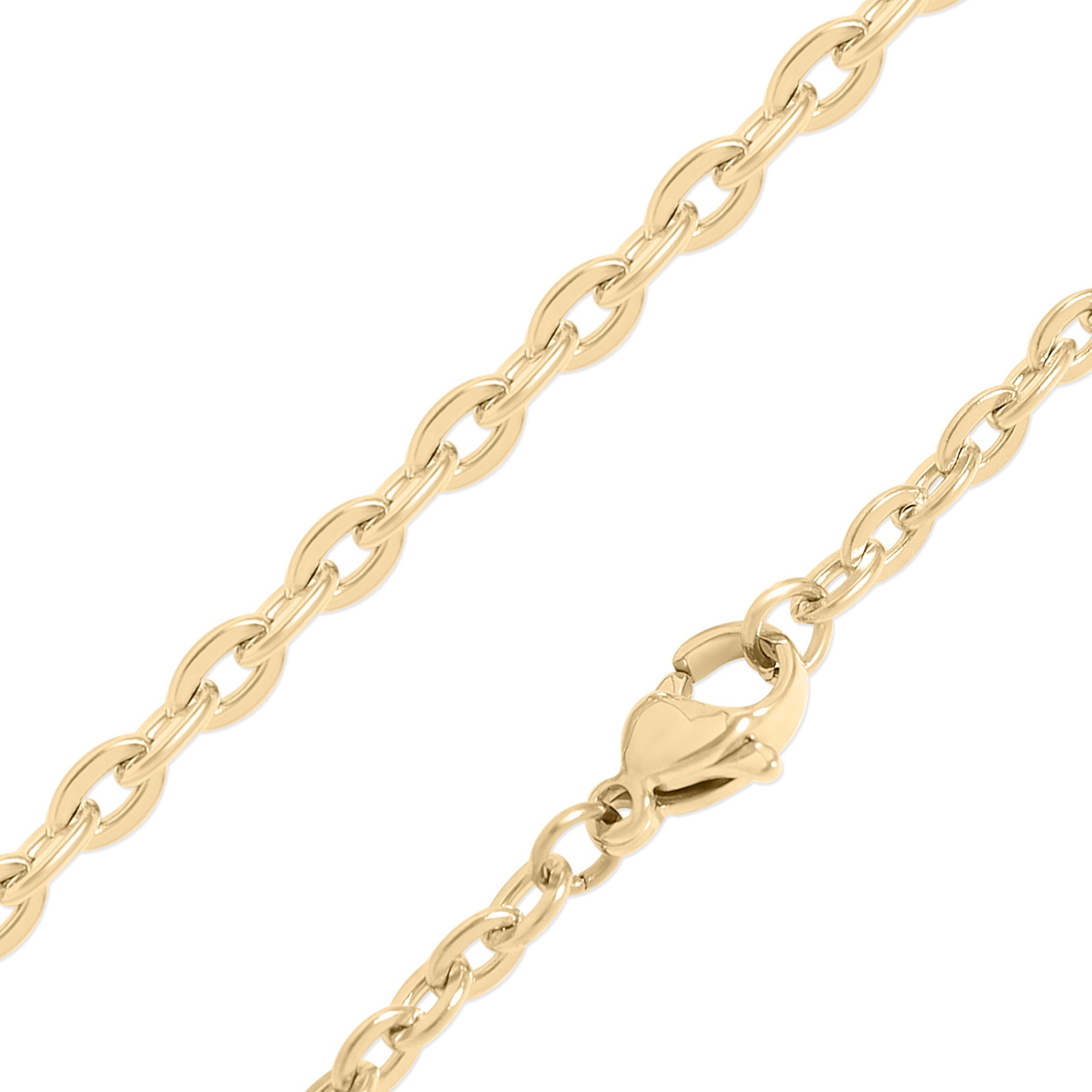 18K Gold PVD Stainless Steel Flat Oval Loop Chain / CHN0051、mySite、dreamappss